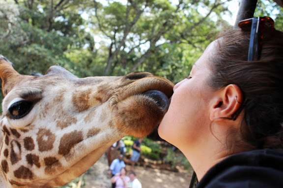 Math teacher Lauren Caldwell kisses a giraffe in Africa