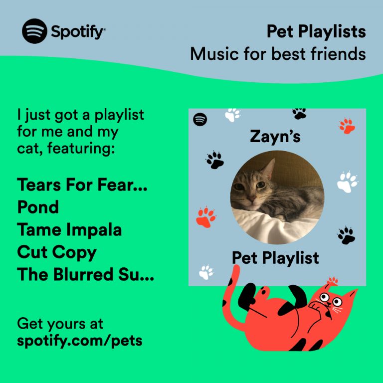 An example of a playlist and accompanying graphic made by Spotify.
