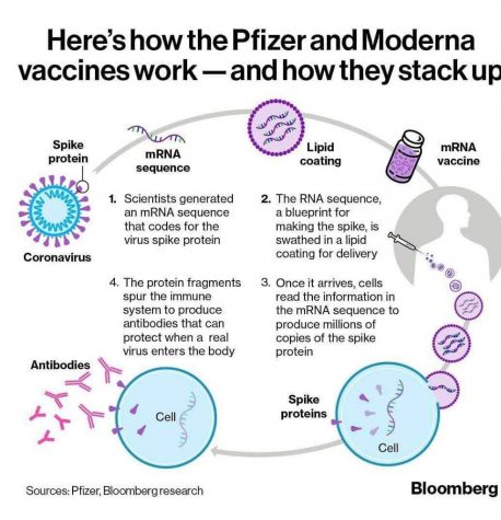 Similar to other vaccines, the mRNA COVID-19 vaccine operates by allowing the immune system to generate antibodies against the production of the virus. There is minimal risk of DNA damage or other long term effects, though short term side effects are common after receiving the vaccine.
