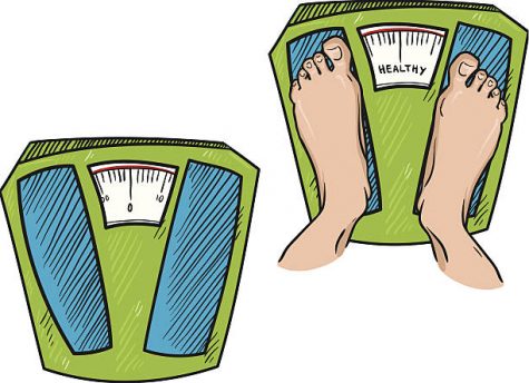 People tend to assume being above or below a certain number on the scale or their Body Mass Index (BMI) defines their health, but this is largely inaccurate. According to dietitian Cindy Smith, BMI was created as a measure for insurance companies, and not a single dietitian was behind its creation. A low or high BMI does not guarantee that someone is malnourished or overweight because genetic makeup and muscle mass are not accounted for in BMI. 