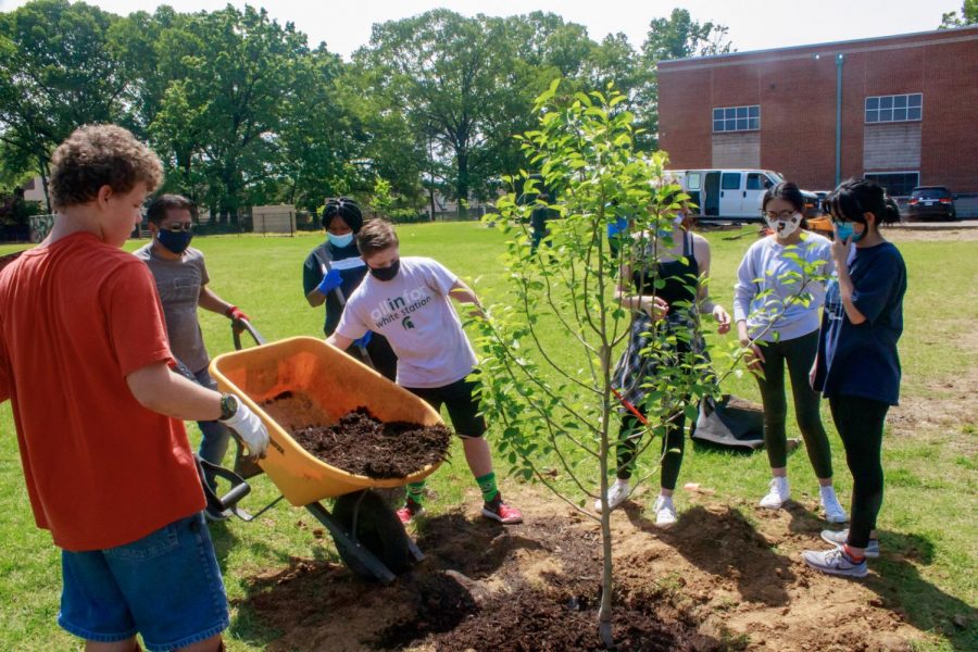  Volunteers help plant one of the first trees, an Asian Pear. During the Bluff Orchard project, volunteers completed various tasks including moving mulch, shoveling dirt and transporting plants.
