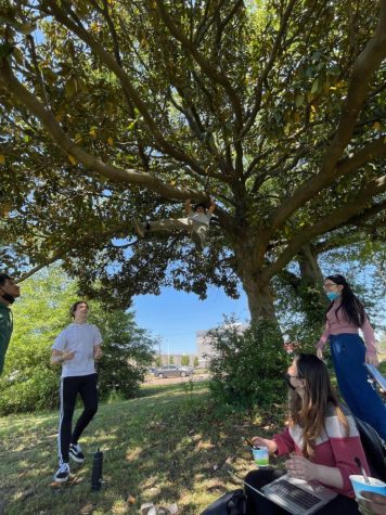 Elias Clements (11), Jared Rawlings (12), Viviana Figueroa (11) and Kathy Lam (11) watch as Justice Clark (11) hangs from a tree at the Cancer Survivor Park. This group gathered to break away from the stresses of hybrid schooling during the spring of 2021.
