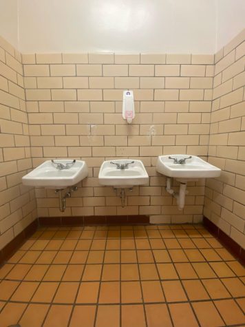  A majority of bathrooms are missing mirrors due to vandalism, and many students have voiced their concerns. The bathroom can give a depressing outlook, but it can also provide a safe space for students. 
