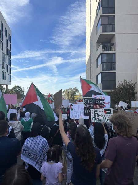 Narjis Alabes (12) photographs a protest in support of Palestine across Downtown Memphis. Attendees made signs saying “Free Palestine” and other phra