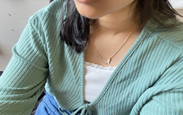 Anandi Durgam (11) chose a simple necklace with a butterfly pendant to go with her outfit. On the contrary, for important events, she finds herself wearing more statement pieces and more extravagant necklaces. 
