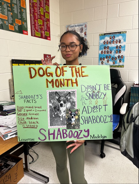 Madelyn Golden (12) poses with her poster for the October Dog of the Month, Shaboozey. Golden works at an animal hospital and aspires to be a veterinarian.