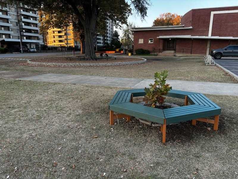 Newly installed benches lie around tulip poplar tree saplings near the front of the school. The entire process had taken almost a year and had finally been completed. 
