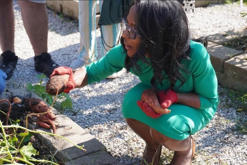  Former-Superintendent Feagins observes White Station High School’s student-run garden. Feagins was terminated from her superintendent position following a 3-6 vote by board members.