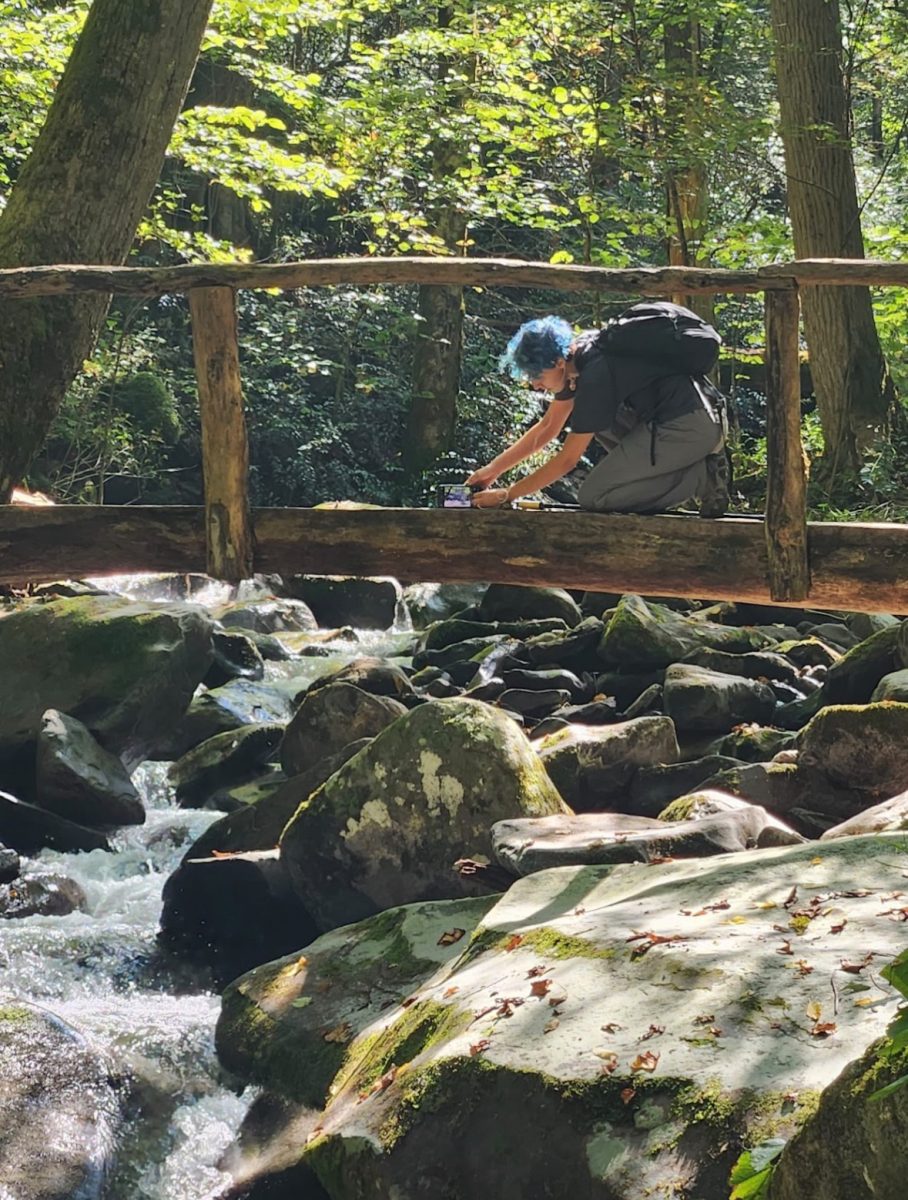 Aaron Marin sits on top of a bridge within her hike. Aaron walked along a Mount Cammerer trail leading to a fire tower built by the Civilian Conservation Corps.