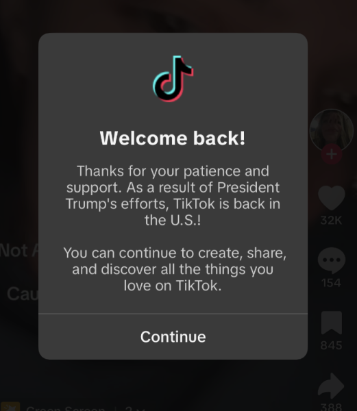 On January 19th, every American TikTok user recieved a notification about TikTok's final death note. However, it had only lasted a few moments as TikTok miraculously worked. 