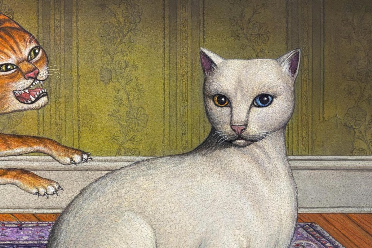 A white cat lies steady and still, gazing stoically with one blue and one yellow eye. An orange cat has decided to pounce, its teeth snarled.
