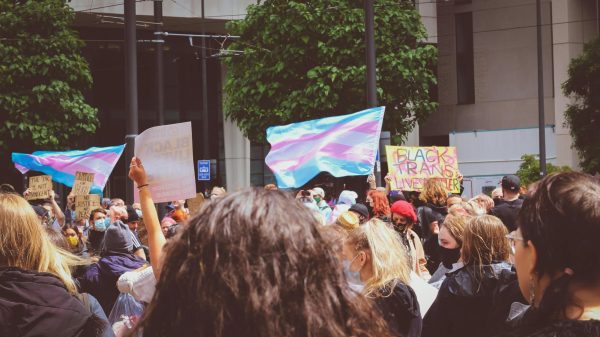 Across the world, transgender people and allies gather to fight for their rights. In 2025 and into 2026, many protests have taken place in front of the Capitol building in Washington, D.C., as federal legislation has been under consideration.